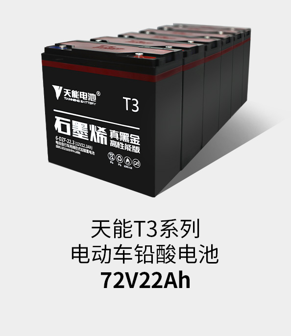 云顶集团贵宾会T3系列72v22ah
